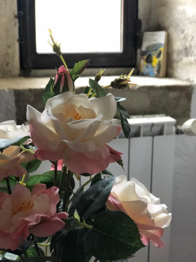B&B La Paloma Barbentane المظهر الخارجي الصورة